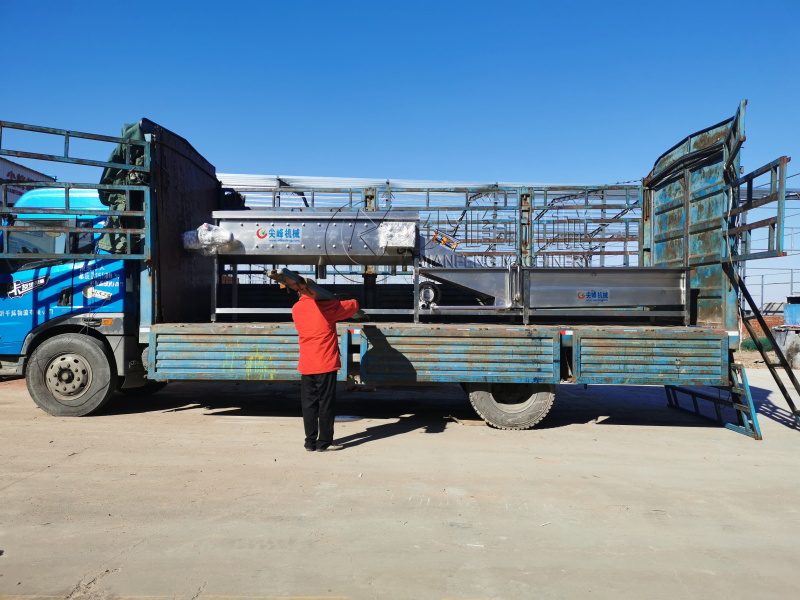 兰陵县引进自动化生姜清洗生产线